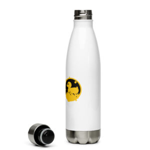 Stainless Steel Water Bottle